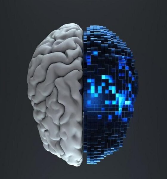 In-Context Learning Detalhado