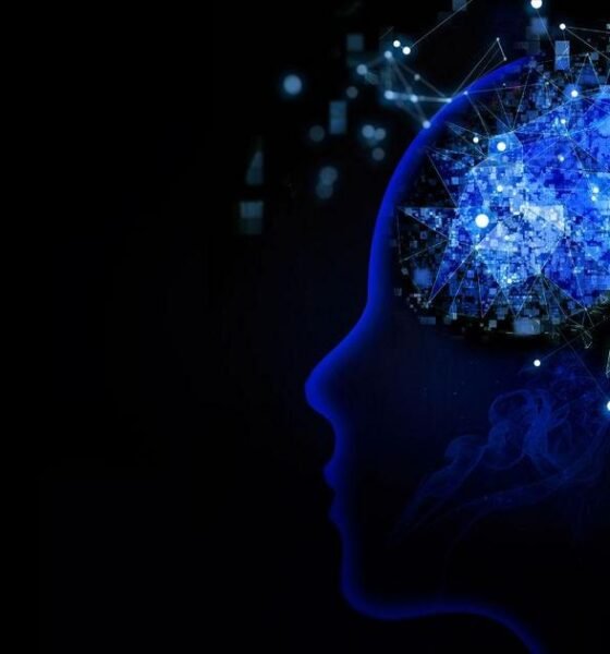 Mentoria de Startups